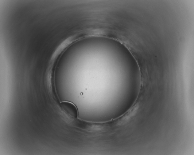 X0000114410341200910231136