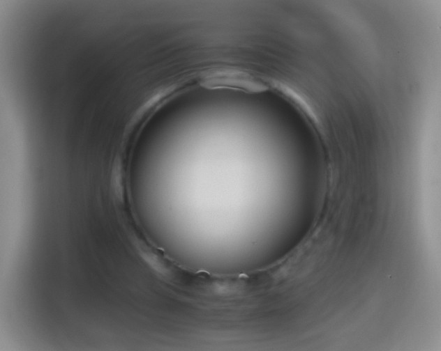 X0000114410345200910231136