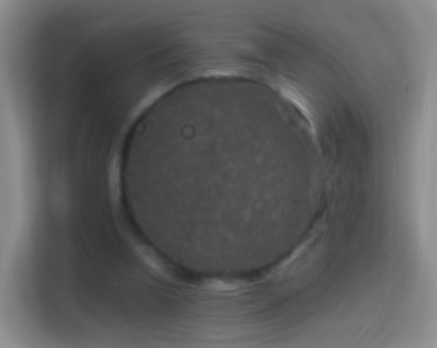 X0000114410346200910231136