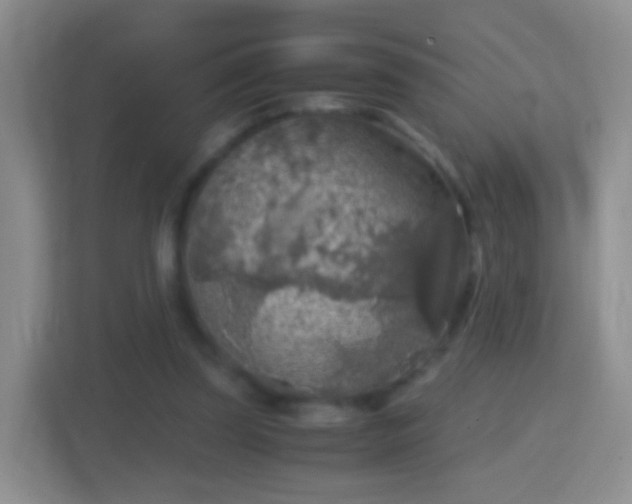 X0000114410347200910231137