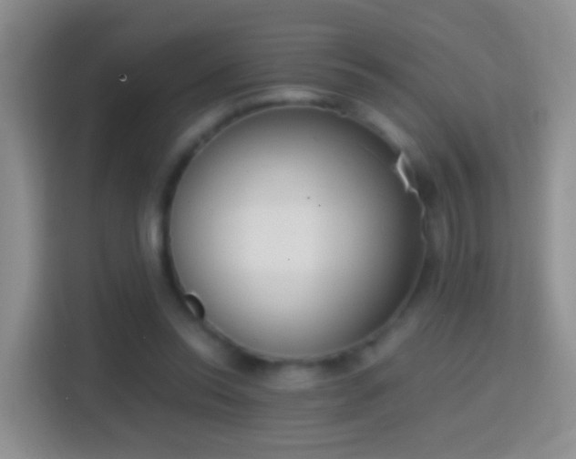 X0000114410350200910231137