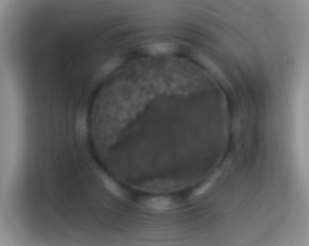 X0000114410353200910231137