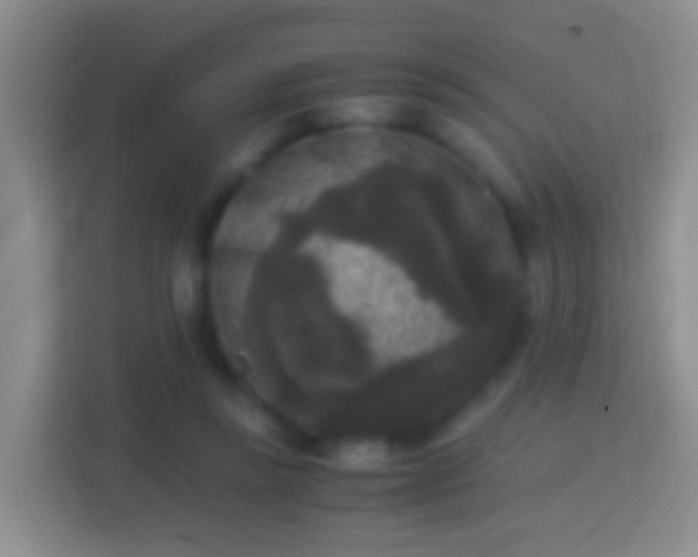 X0000114410355200910231137