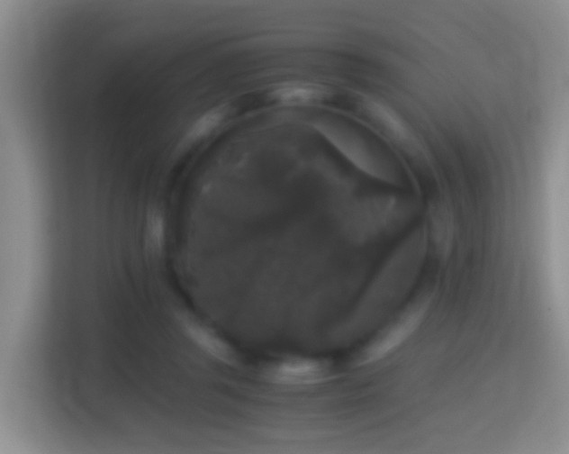 X0000114410357200910231137