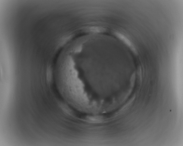 X0000114410359200910231137