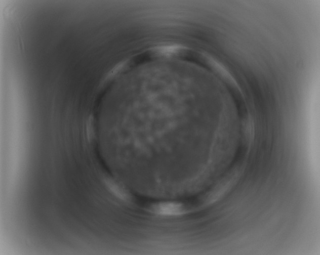 X0000114410361200910231137