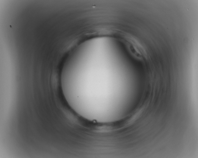 X0000114410362200910231137