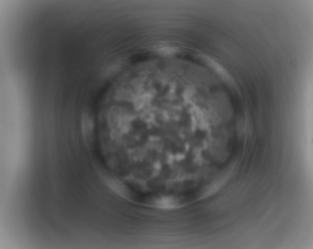 X0000114410365200910231137