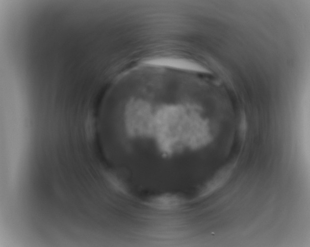X0000114410366200910231137