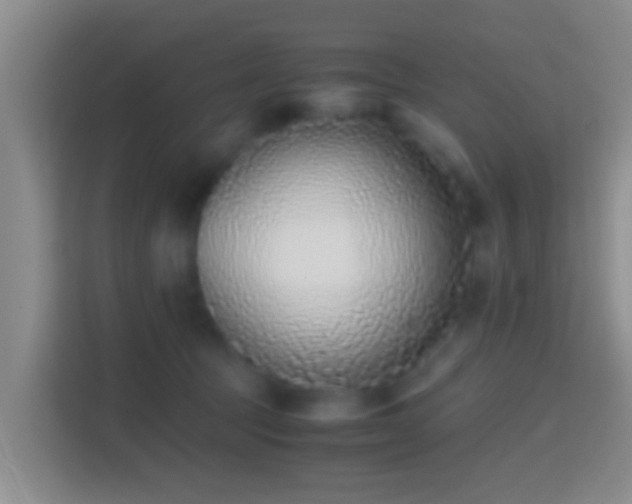 X0000114410369200910231137