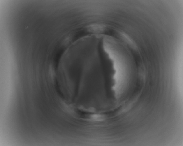 X0000114410371200910231137