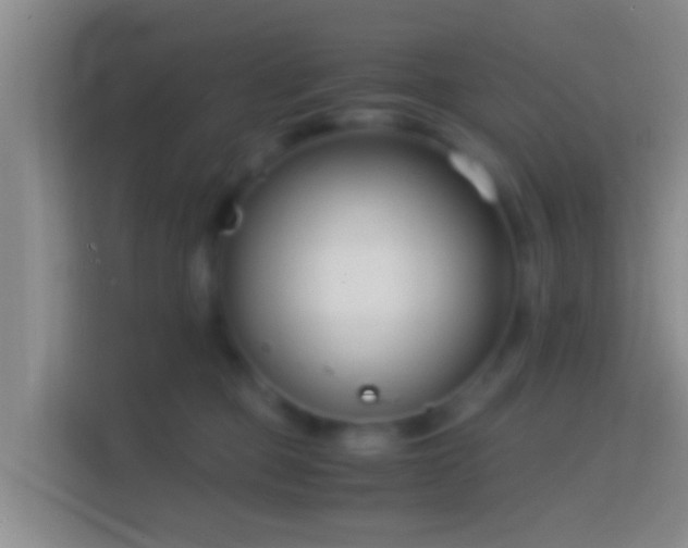 X0000114410373200910231137