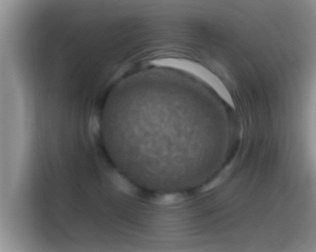 X0000114410382200910231137