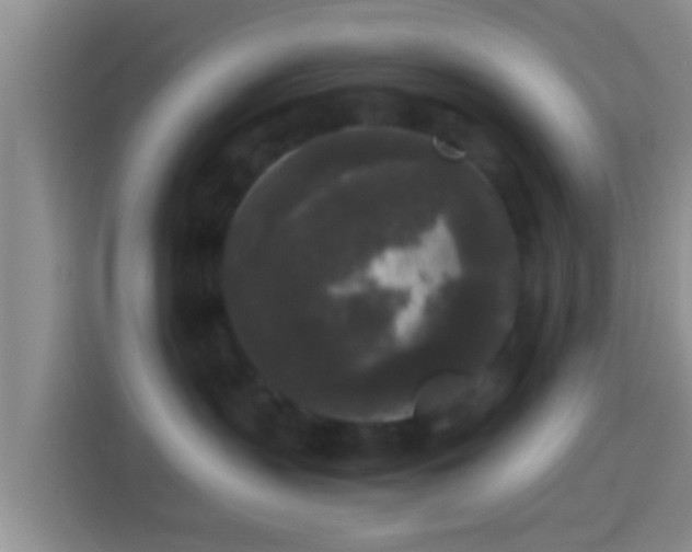 X0000114410383200910231137