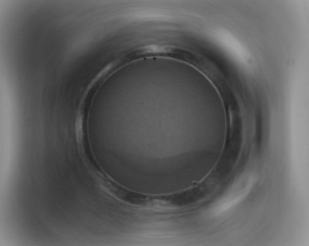 X0000114410387200910231136