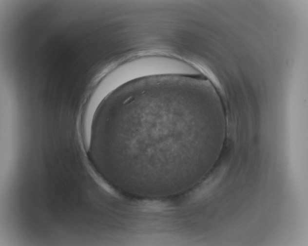 X0000114410389200910231136