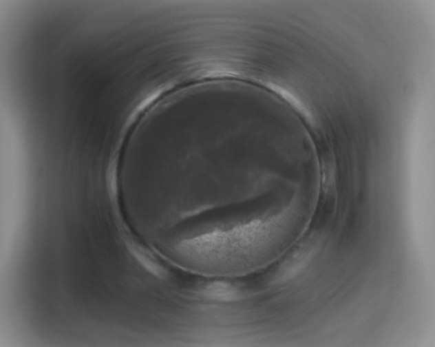 X0000114410390200910231136