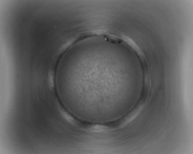 X0000114410393200910231136