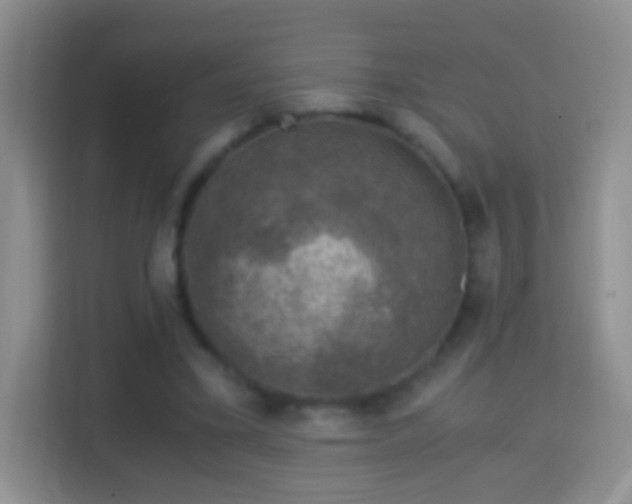 X0000114410395200910231136
