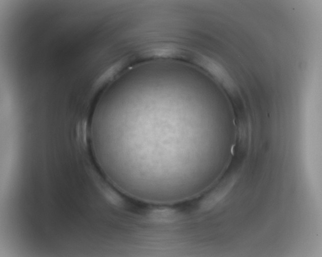 X0000114410397200910231136