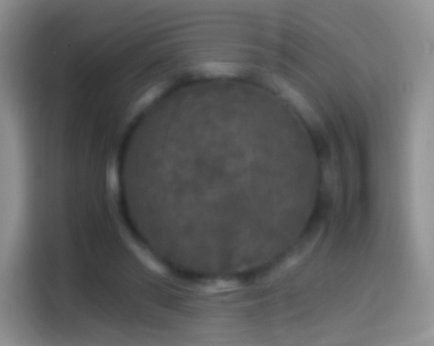 X0000114410398200910231136