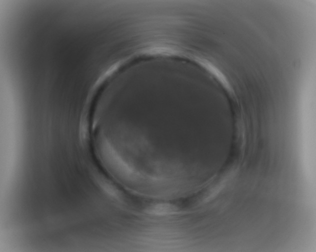 X0000114410399200910231136