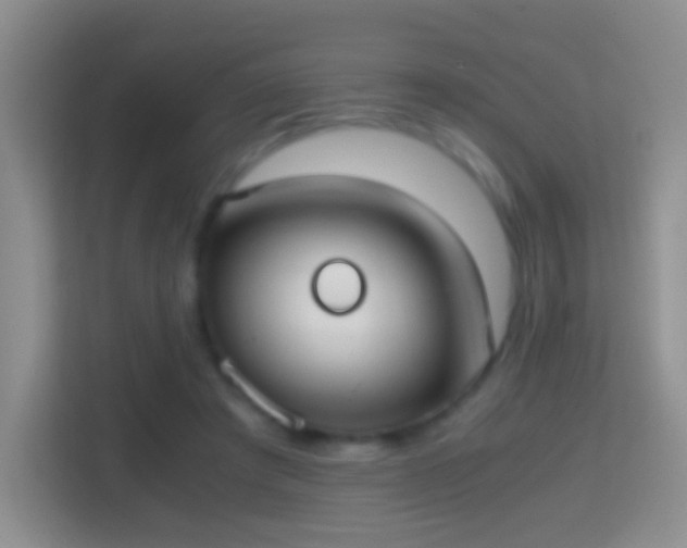X0000114410401200910231136