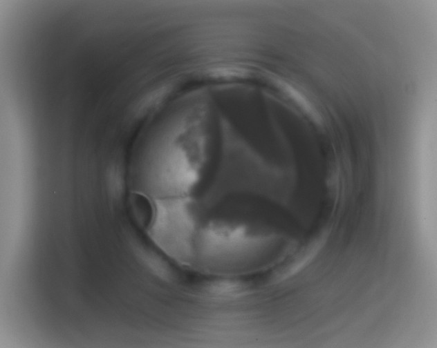 X0000114410402200910231136