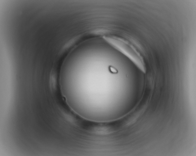 X0000114410404200910231136
