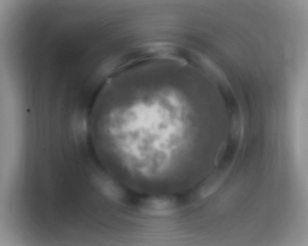X0000114410405200910231136