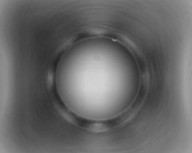 X0000114410406200910231136