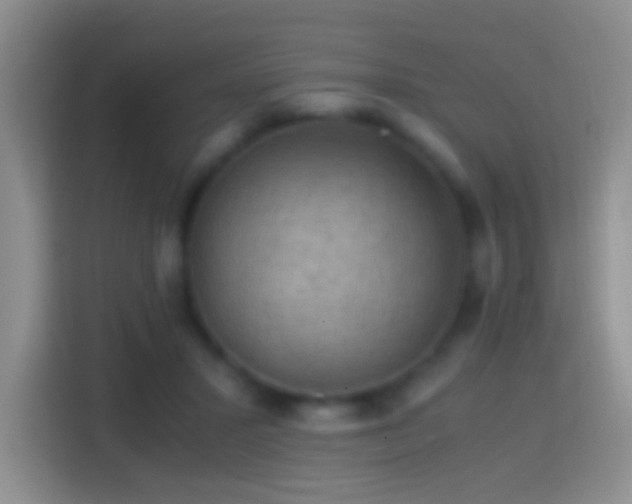 X0000114410407200910231136