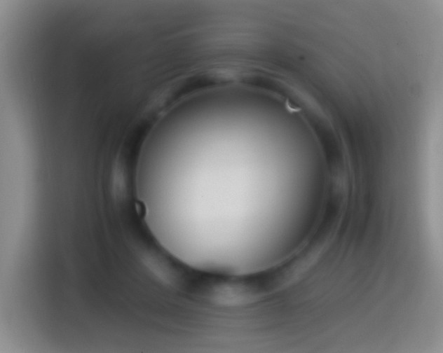 X0000114410408200910231136