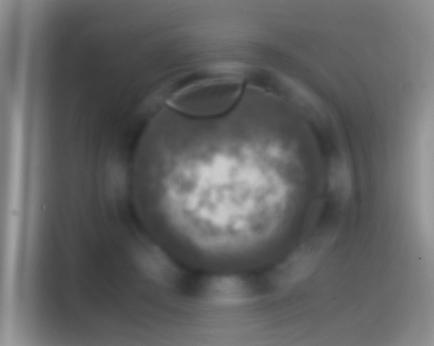 X0000114410409200910231136