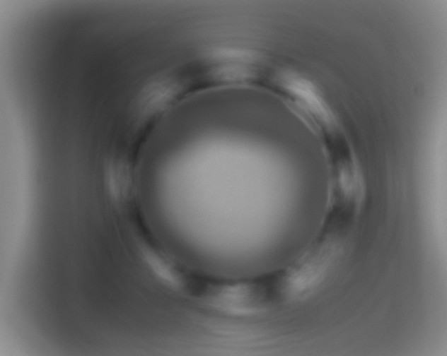 X0000114410411200910231136