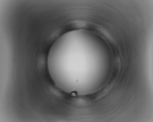 X0000114410412200910231136