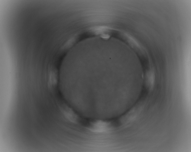 X0000114410413200910231136