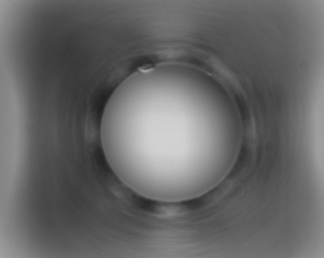 X0000114410417200910231136