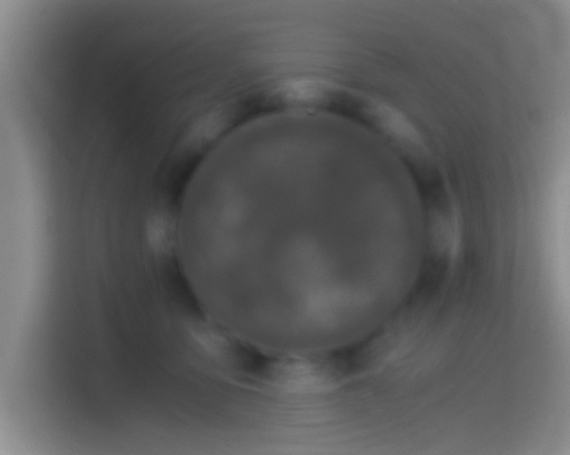 X0000114410419200910231136