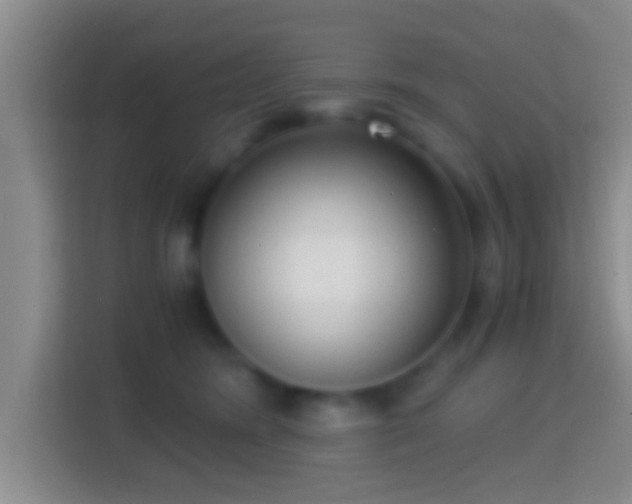 X0000114410420200910231136