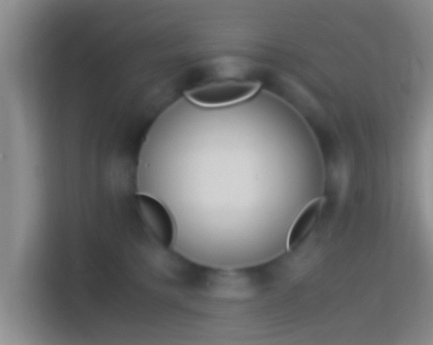 X0000114410421200910231136