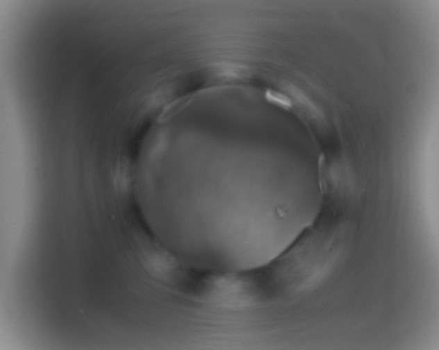 X0000114410423200910231136