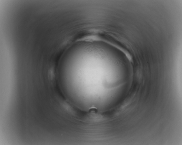 X0000114410424200910231136