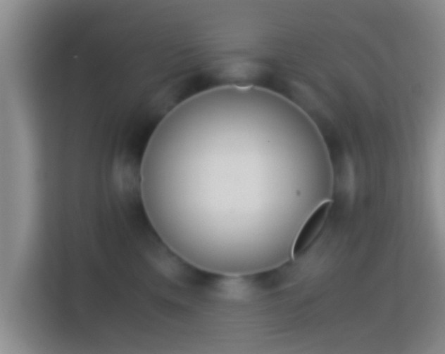 X0000114410425200910231136