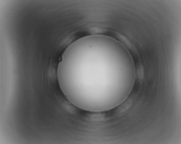 X0000114410426200910231136