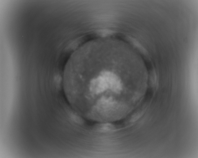 X0000114410427200910231136