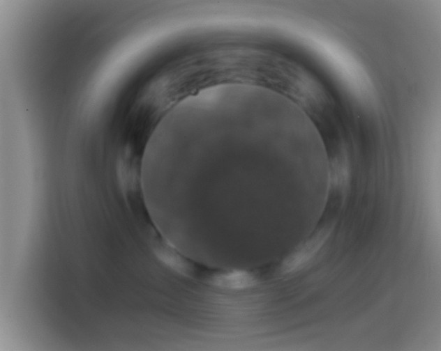 X0000114410431200910231136