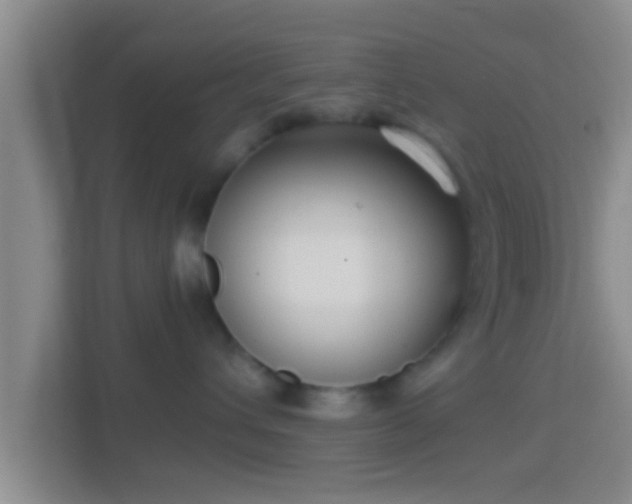 X0000114410432200910231136