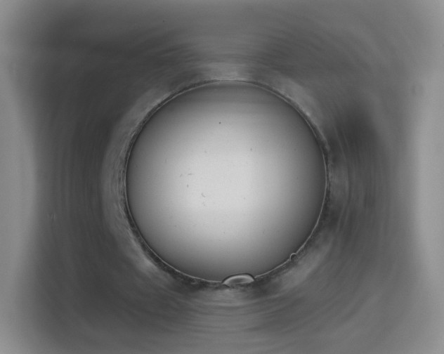 X0000114410433200910231135