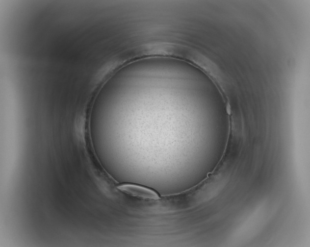 X0000114410434200910231135